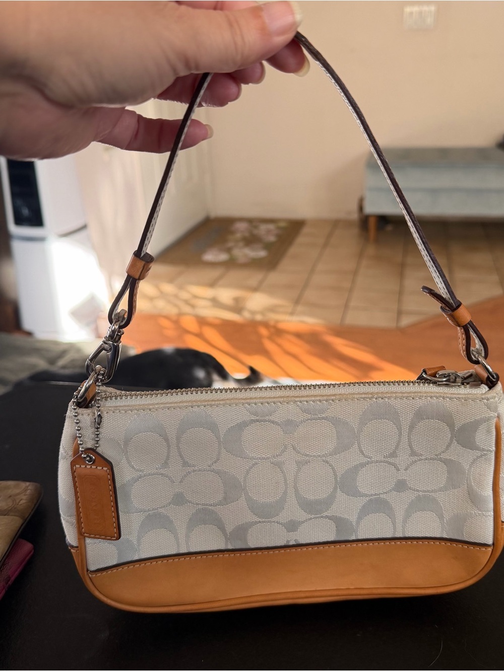 Y2K Vintage Coach Demi Bag